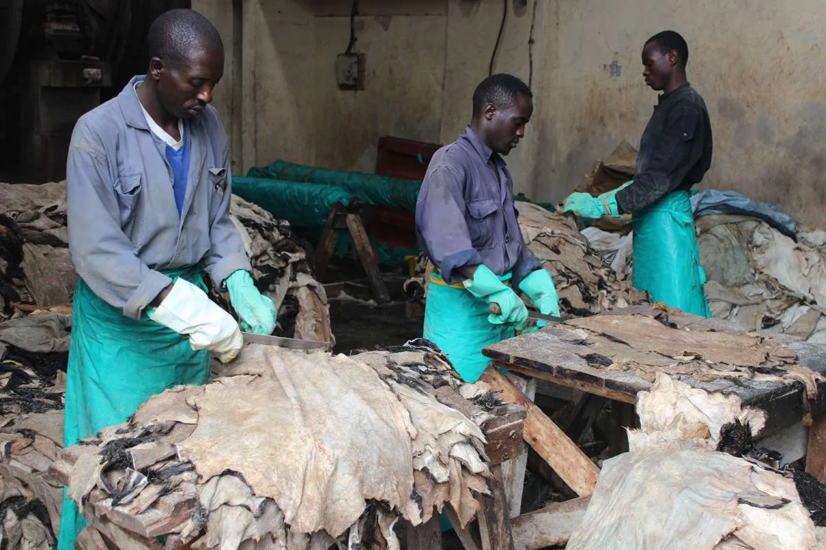 Gov't Moves to Operationalise Isinya Leather Centre to Boost ASAL Economy