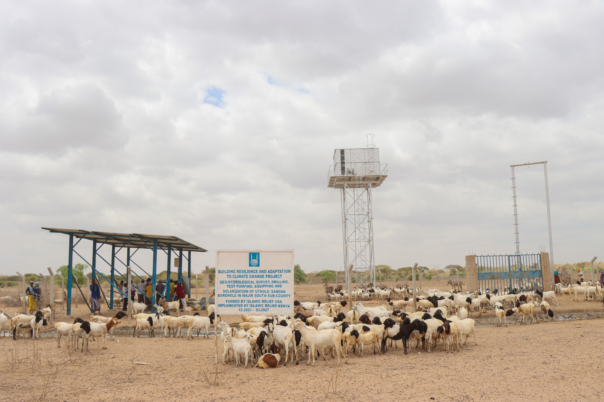 Islamic Relief Empowers Balambala Pastoralists with Practical Livestock Management Training