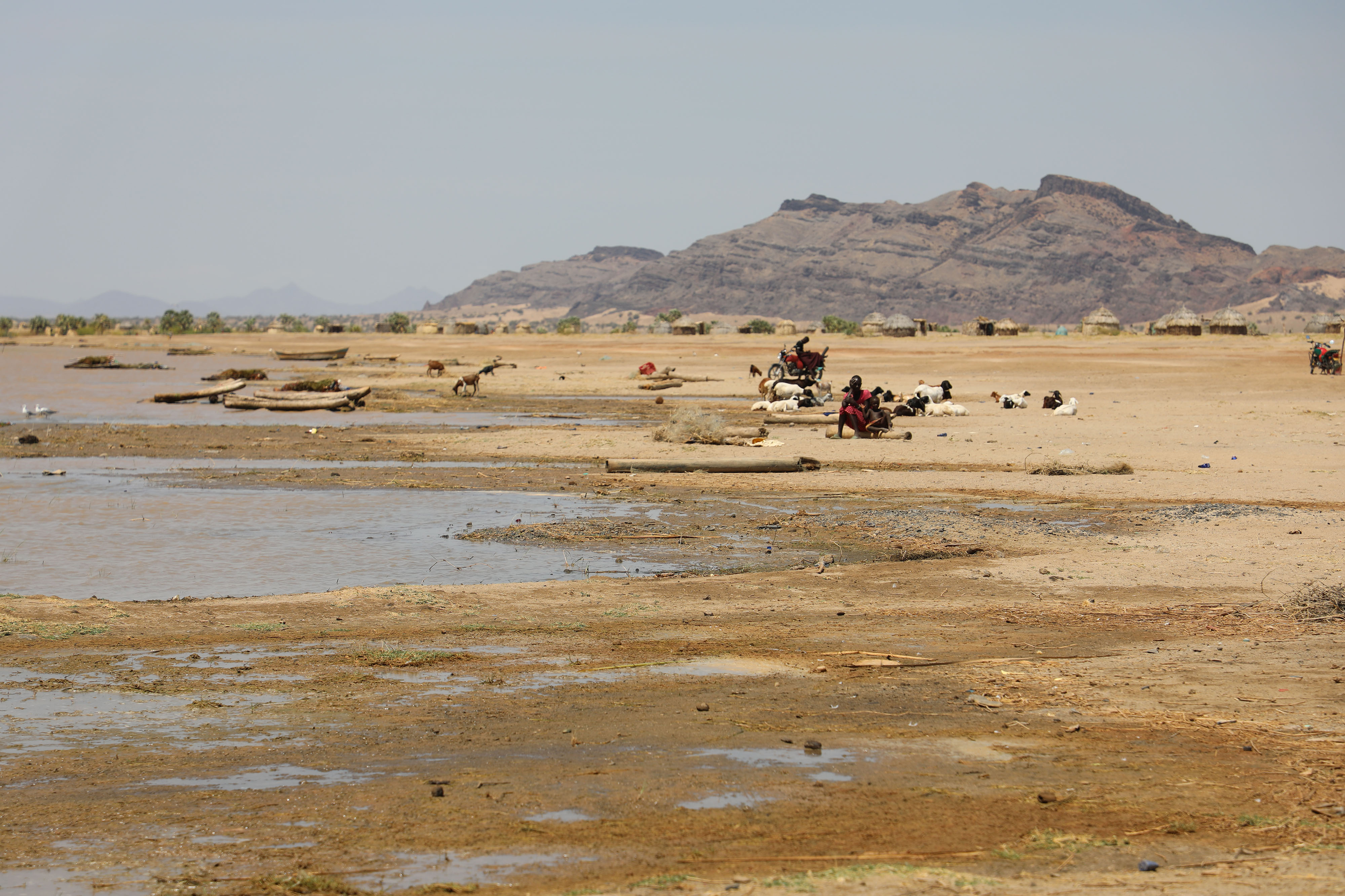 Mandera: Over 2.1 Million Kenyans Projected to Need Food Aid by January 2026