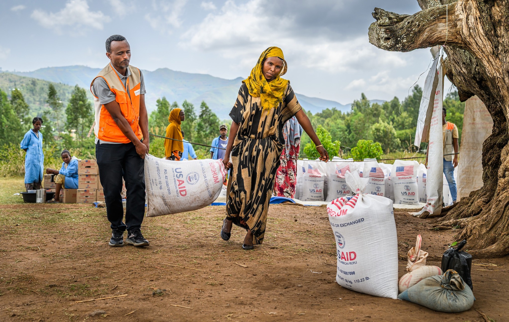 World Humanitarian Day 2025: Despite Violence and Funding Cuts, Organisations Continue to Act for Humanity